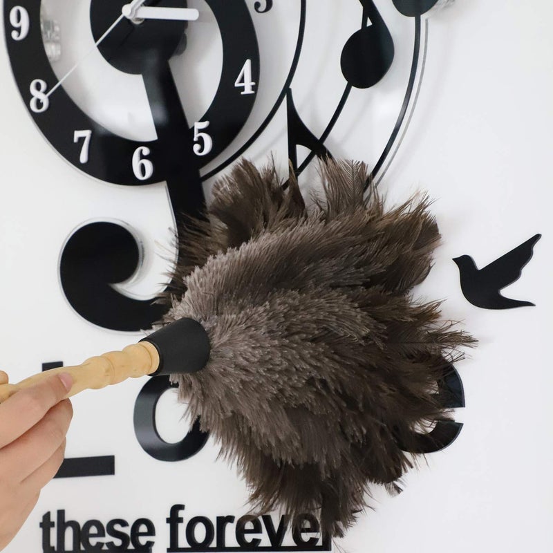 Midoneat Natural Gray Ostrich Feather Duster,2 Packs,Car Duster Interior/Exterior Cleaner, Cleaning for Blinds Kitchen Keyboard Office, Smart and Soft and Fluffy (Gray) - Image 5
